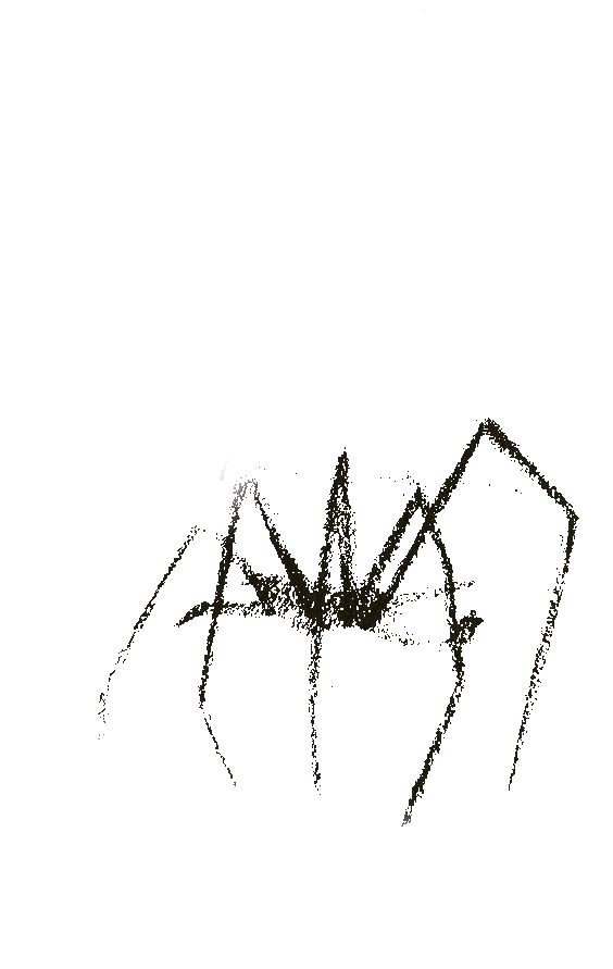 Kenan Yücel, Gümüş&nbsp;Örümcek